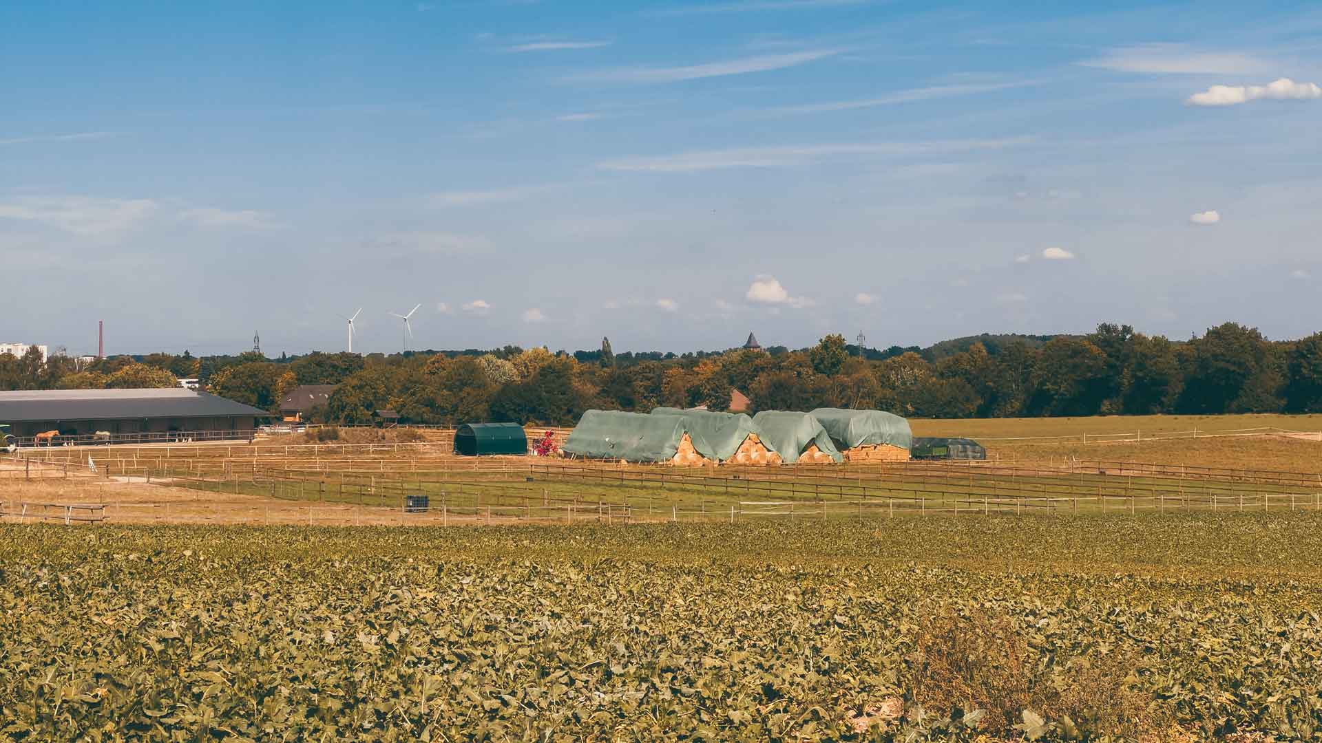 Sıkça Sorulan Sorular